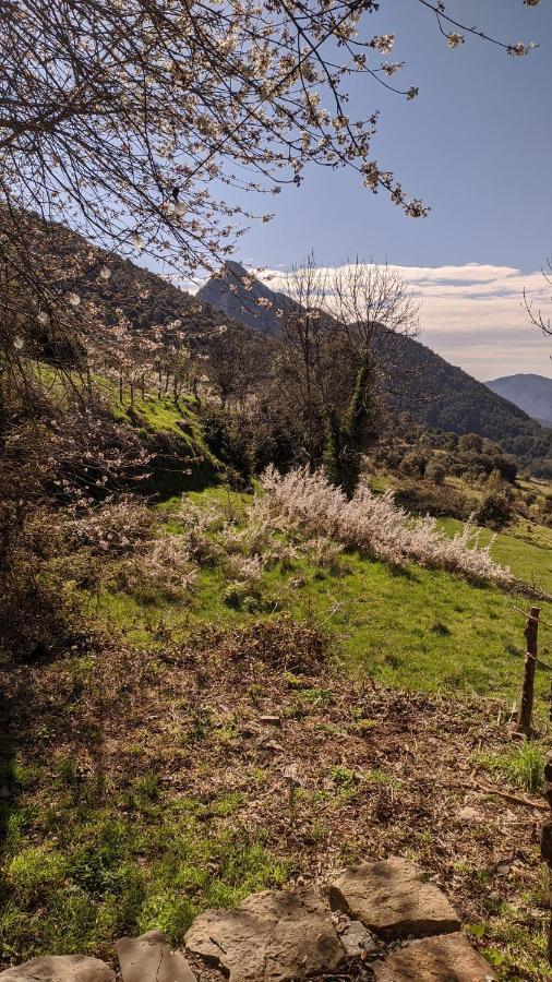 Casa Rural Petricor, Ordesa Vio Екстер'єр фото